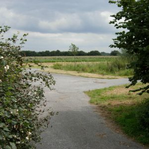 möglicher Platz für Reisemobile: Bergstr., ehemaliger Containerstandort